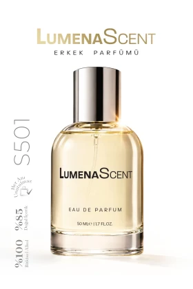 عطر مردانه S501 فرش ادو پرفیوم 50 میلی لیتر