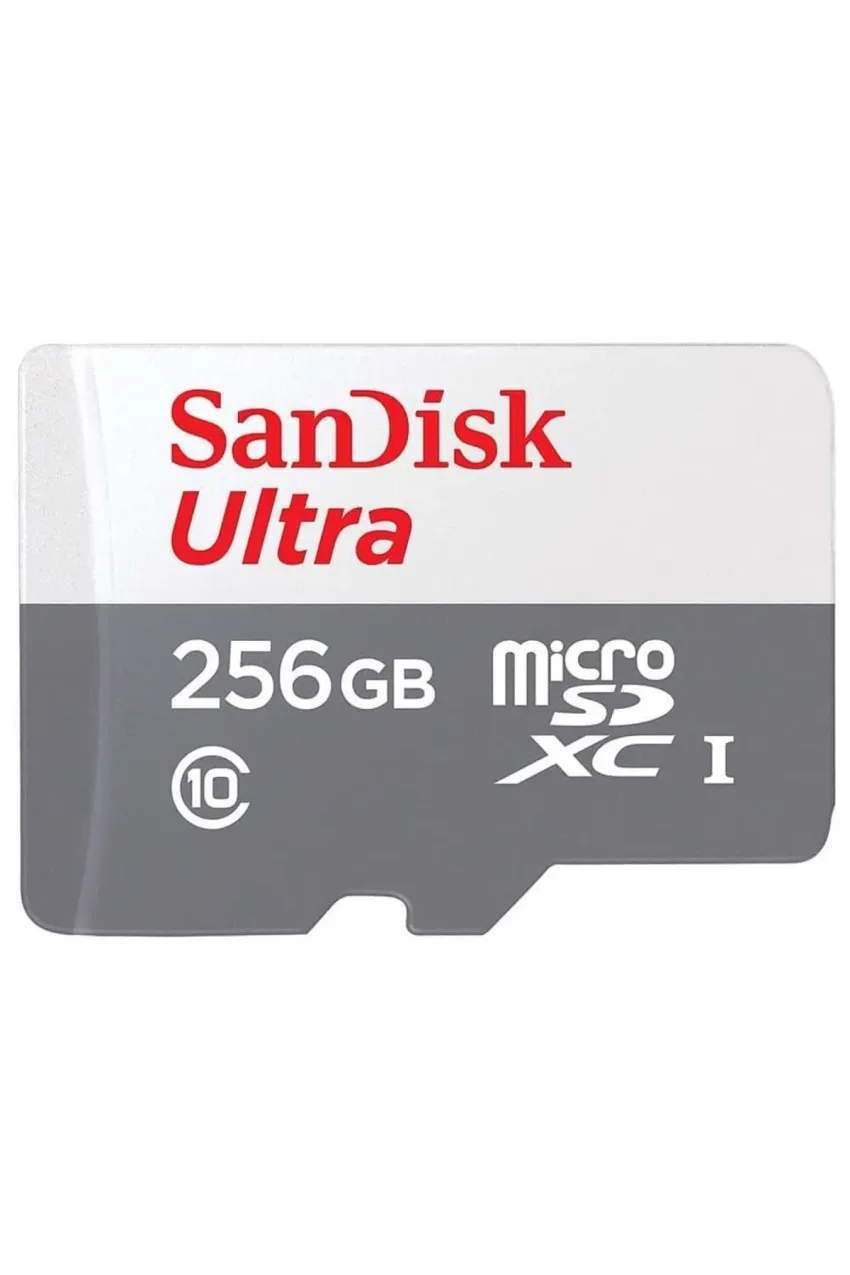 کارت حافظه میکرو اس دی ایکس ۲۵۶ گیگابایت ۱۰۰ مگابیت بر ثانیه UHS-I مدل SDSQUNR-256G-GN3MN