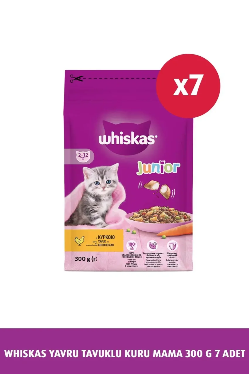 خوراک خشک گربه با طعم جوجه بچه 300 گرم 7 عددی