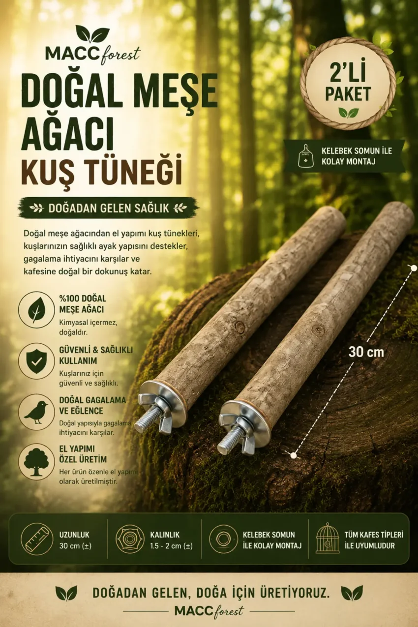 سری پرندگان شاد / نشیمنگاه پرنده از چوب طبیعی / 2 عدد - 35/45 سانتیمتر